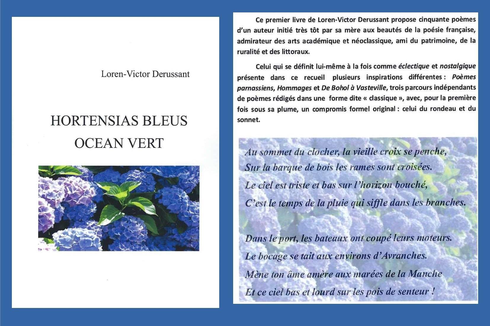 Derussant hortensias bleux oceans vert